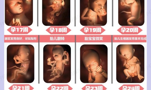 孕妇 蚝豉网—知名的孕妇可以吃蚝豉吗网站,分享孕妇可以吃蚝豉煲粥吗知识