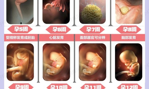 孕妇 蚝豉网—知名的孕妇可以吃蚝豉吗网站,分享孕妇可以吃蚝豉煲粥吗知识