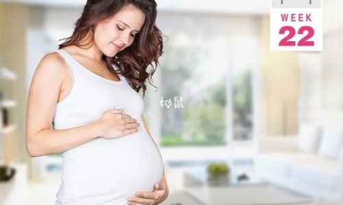 孕妇能吃潮汕蚝仔烙吗-孕妇 蚝豉网—知名的孕妇可以吃蚝豉吗网站,分享孕妇可以吃蚝豉煲粥吗知识